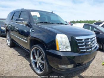  Salvage Cadillac Escalade