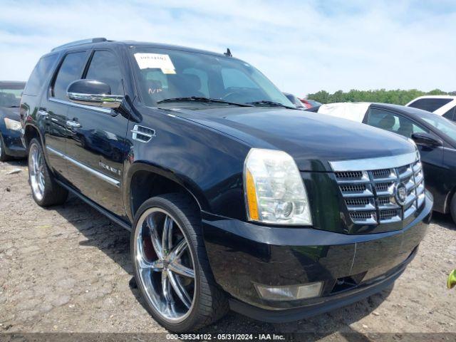  Salvage Cadillac Escalade