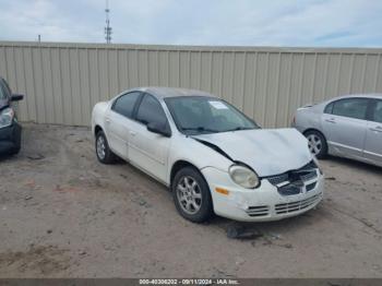  Salvage Dodge Neon