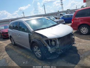  Salvage Honda Odyssey