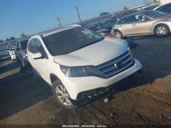  Salvage Honda CR-V