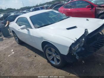  Salvage Dodge Challenger