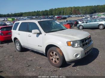  Salvage Ford Escape