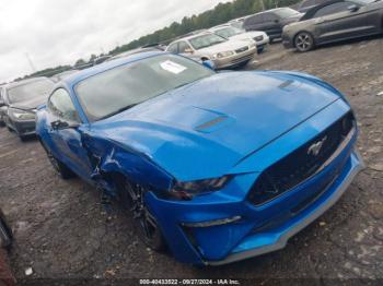  Salvage Ford Mustang