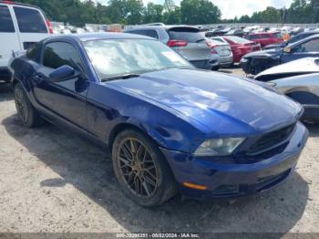  Salvage Ford Mustang