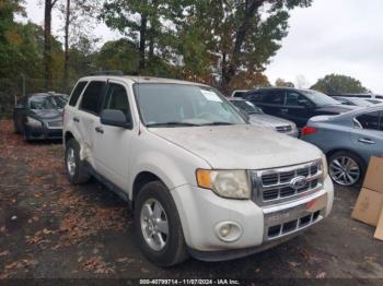  Salvage Ford Escape