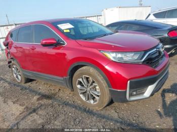  Salvage Honda CR-V