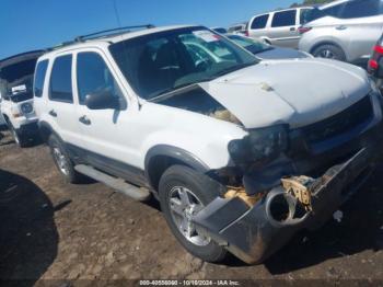  Salvage Ford Escape