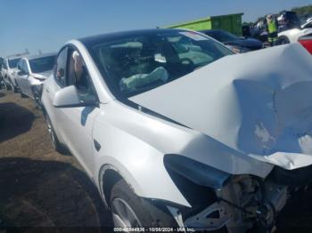  Salvage Tesla Model Y