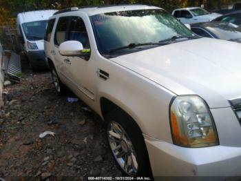  Salvage Cadillac Escalade