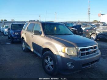  Salvage Ford Escape