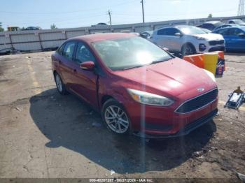  Salvage Ford Focus