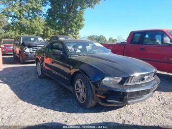  Salvage Ford Mustang