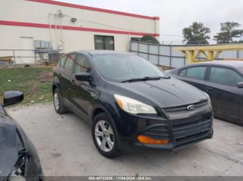  Salvage Ford Escape