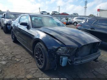  Salvage Ford Mustang