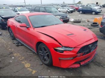  Salvage Ford Mustang