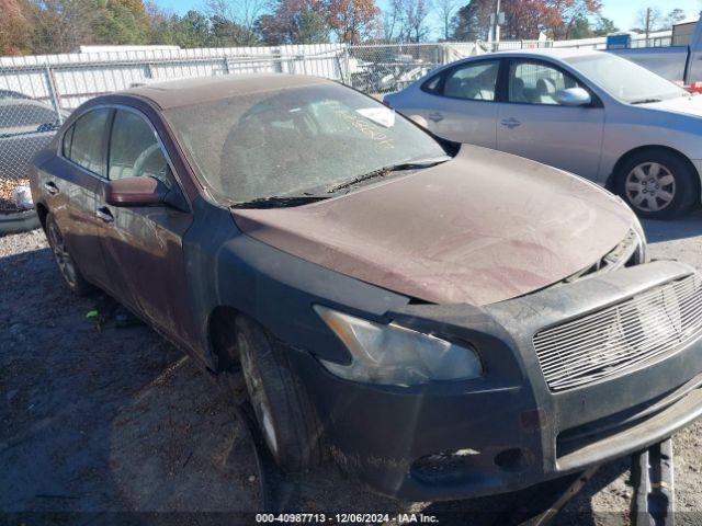  Salvage Nissan Maxima