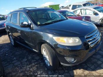  Salvage Hyundai SANTA FE