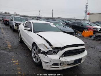  Salvage Ford Mustang