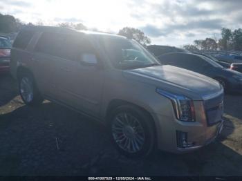  Salvage Cadillac Escalade