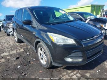  Salvage Ford Escape