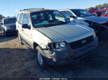  Salvage Ford Escape