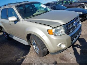  Salvage Ford Escape