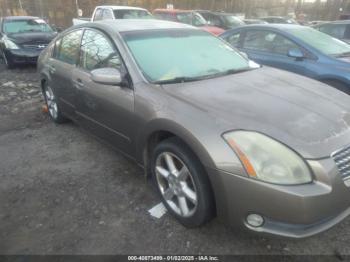  Salvage Nissan Maxima