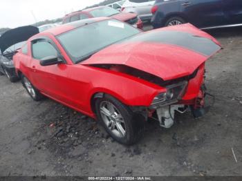  Salvage Ford Mustang