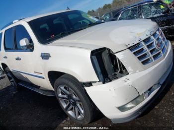  Salvage Cadillac Escalade