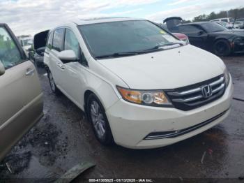  Salvage Honda Odyssey