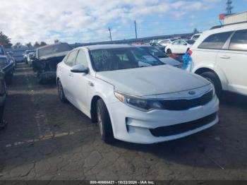  Salvage Kia Optima