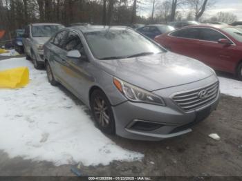  Salvage Hyundai SONATA