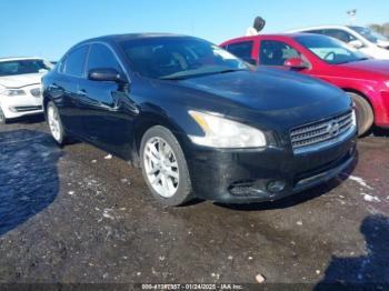  Salvage Nissan Maxima