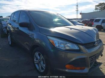  Salvage Ford Escape