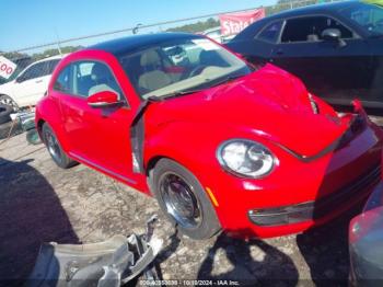  Salvage Volkswagen Beetle