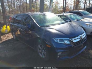  Salvage Honda Odyssey