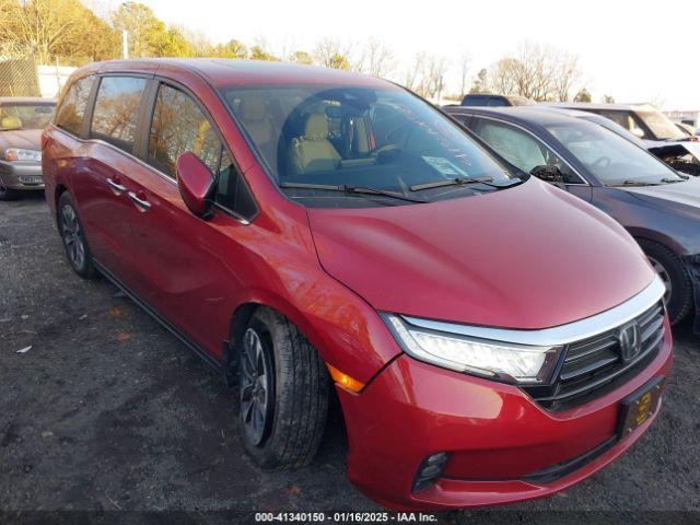  Salvage Honda Odyssey