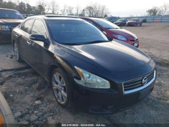  Salvage Nissan Maxima