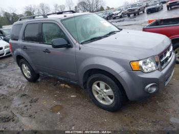  Salvage Ford Escape