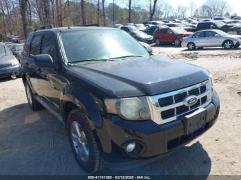  Salvage Ford Escape