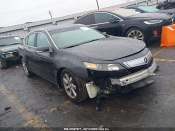  Salvage Acura TL