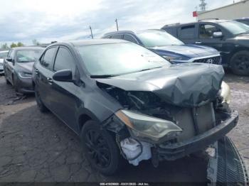  Salvage Toyota Corolla