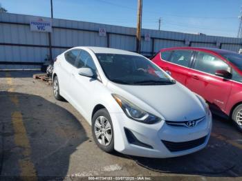  Salvage Hyundai ELANTRA