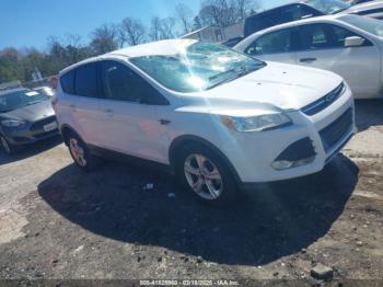  Salvage Ford Escape
