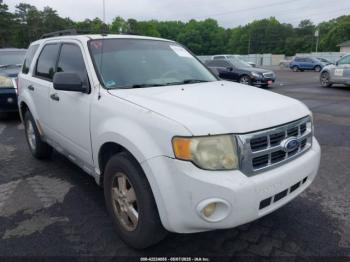  Salvage Ford Escape