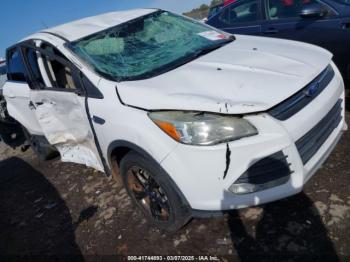  Salvage Ford Escape