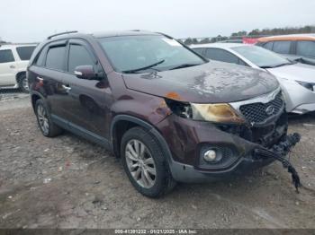  Salvage Kia Sorento