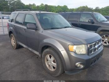  Salvage Ford Escape