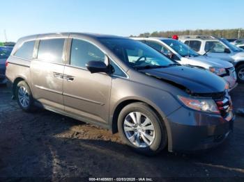  Salvage Honda Odyssey